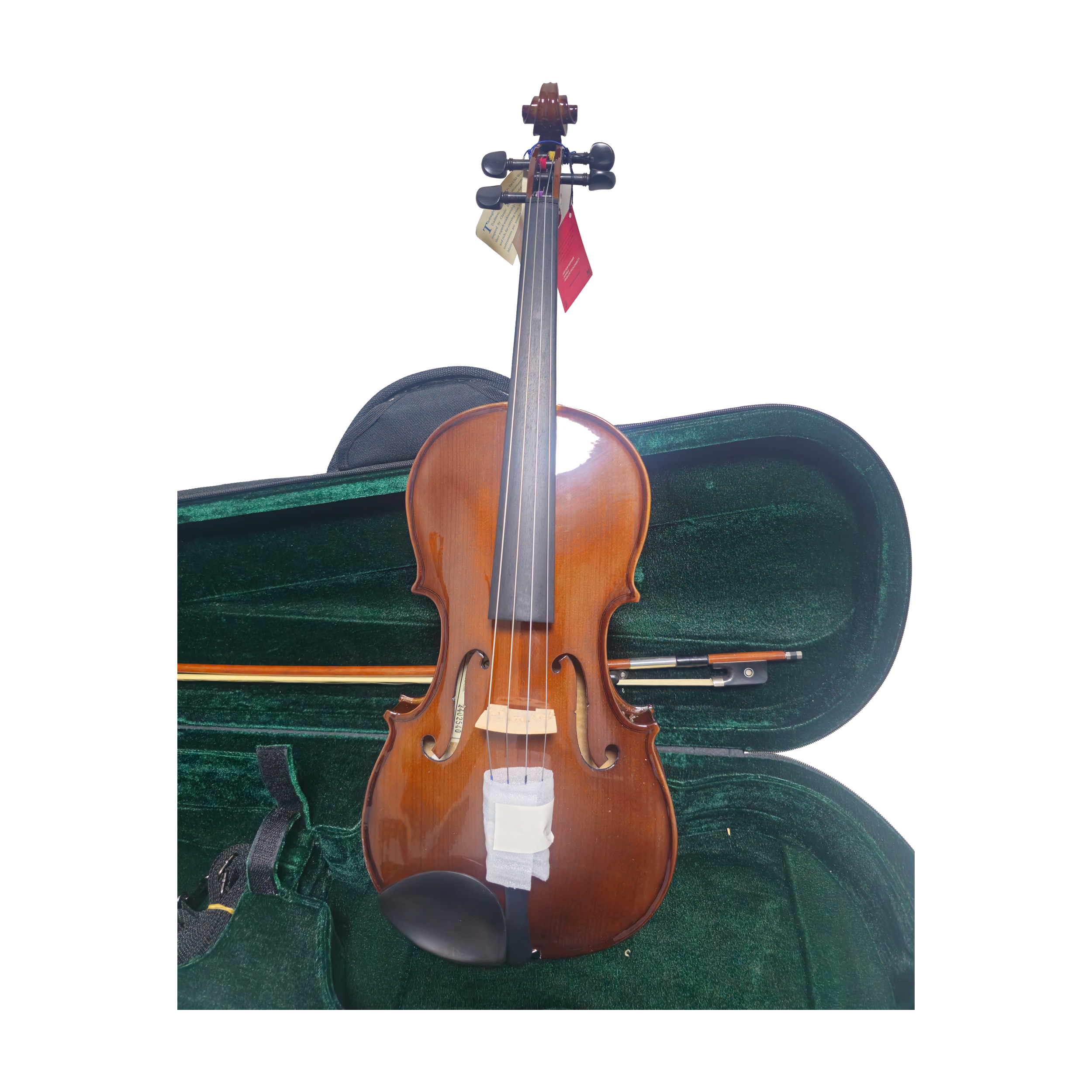 Cremona Viola SVA-130 view of viola in case