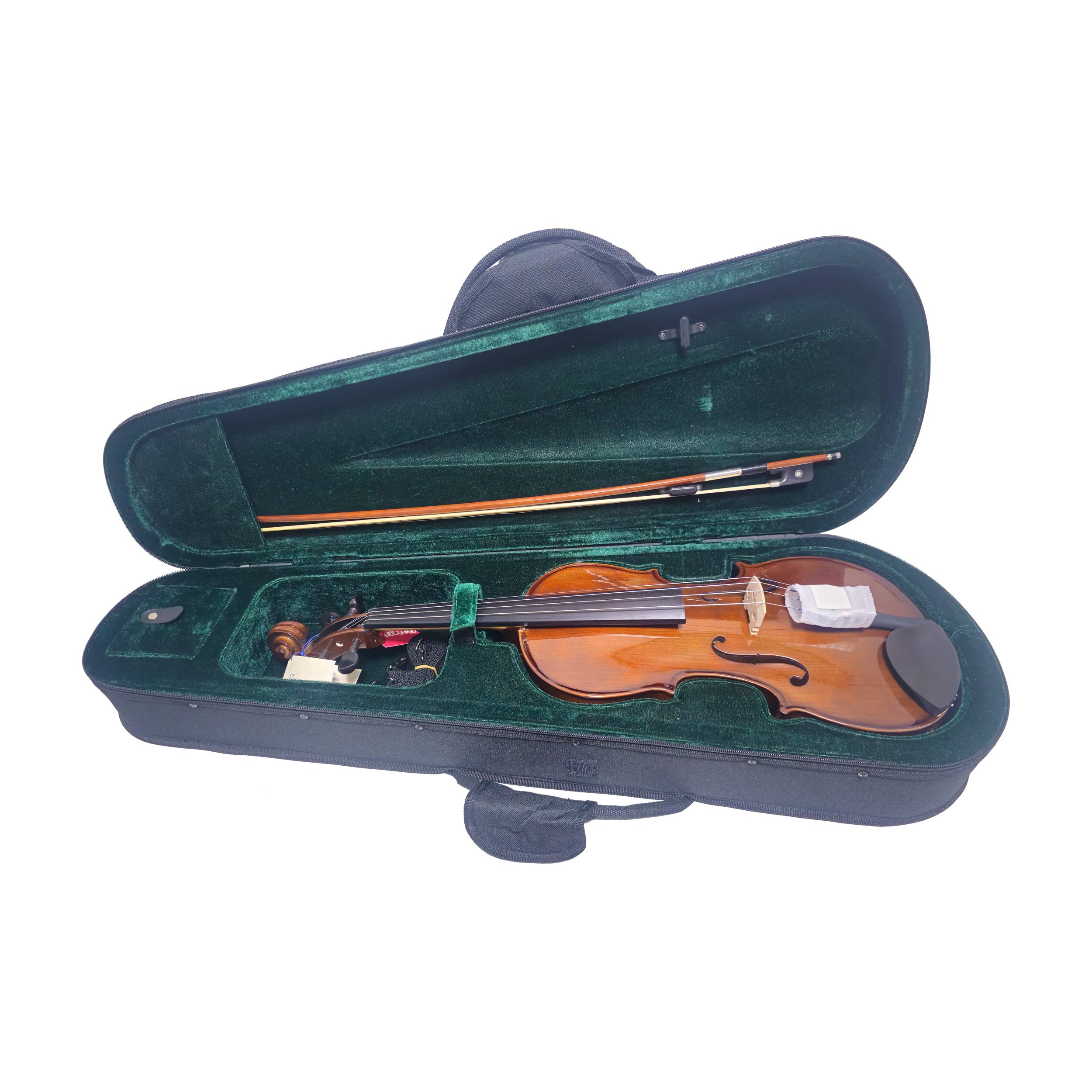 Cremona Viola SVA-130 view of viola in case