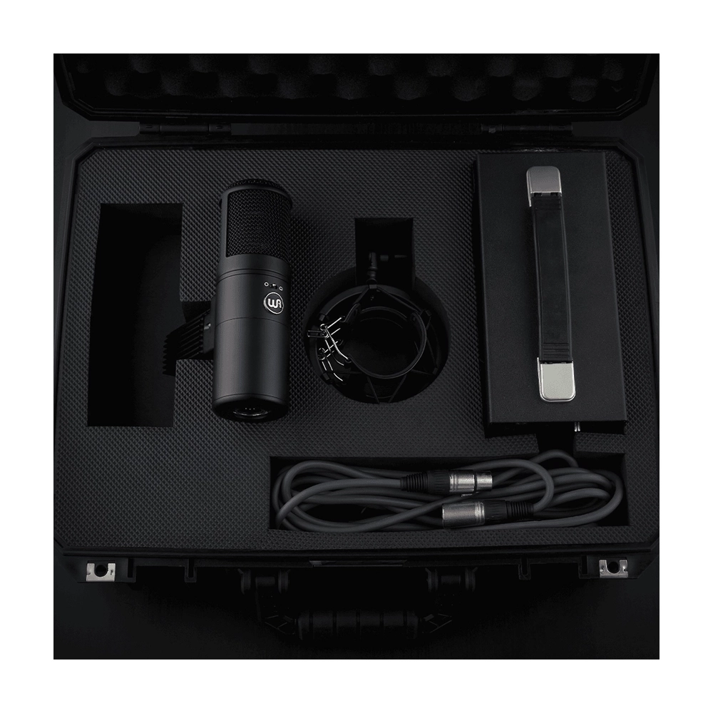 Warm Audio WA-8000 suitcase 