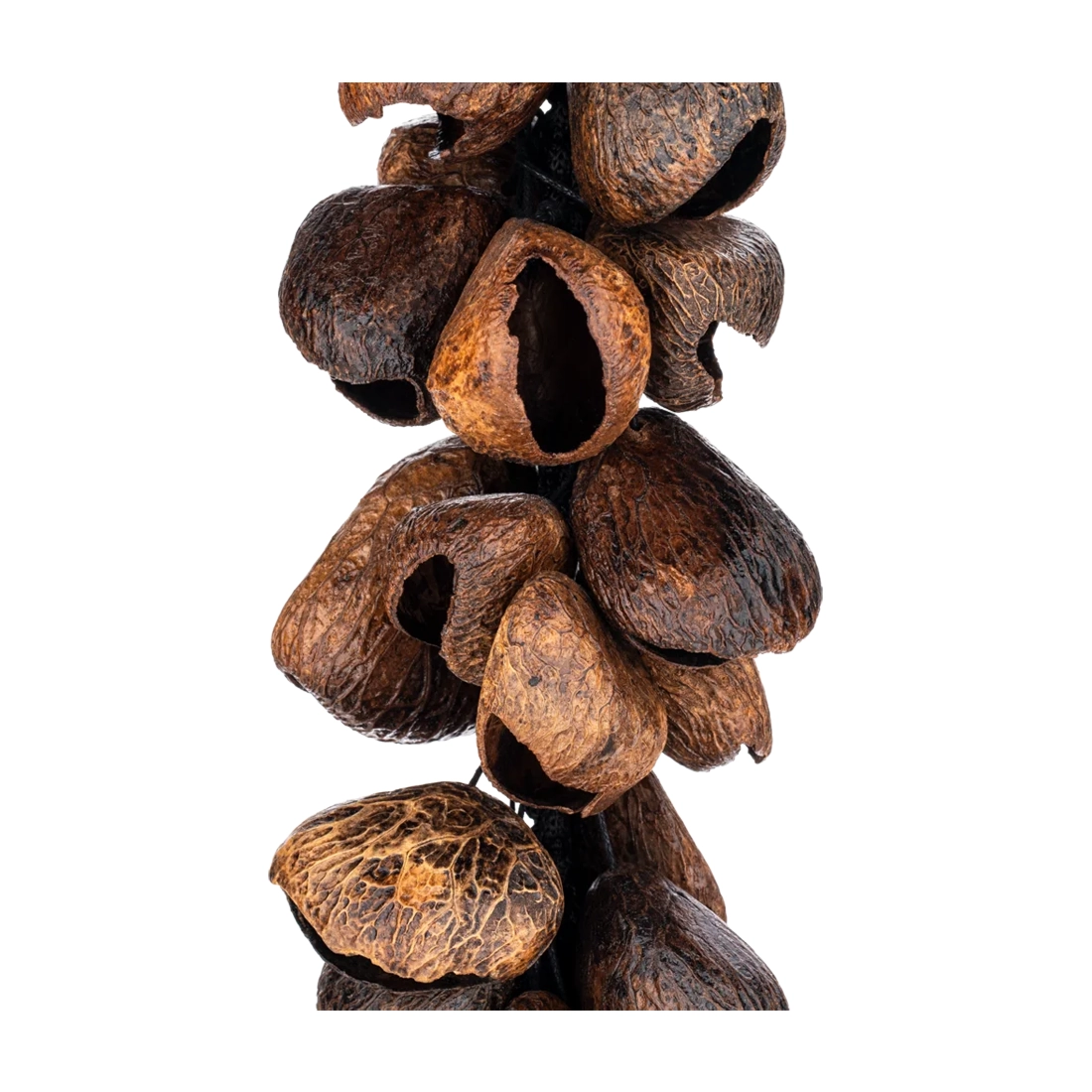 Meinl Percussion WA5 Pangi Waterfall Shaker - Shaker close up