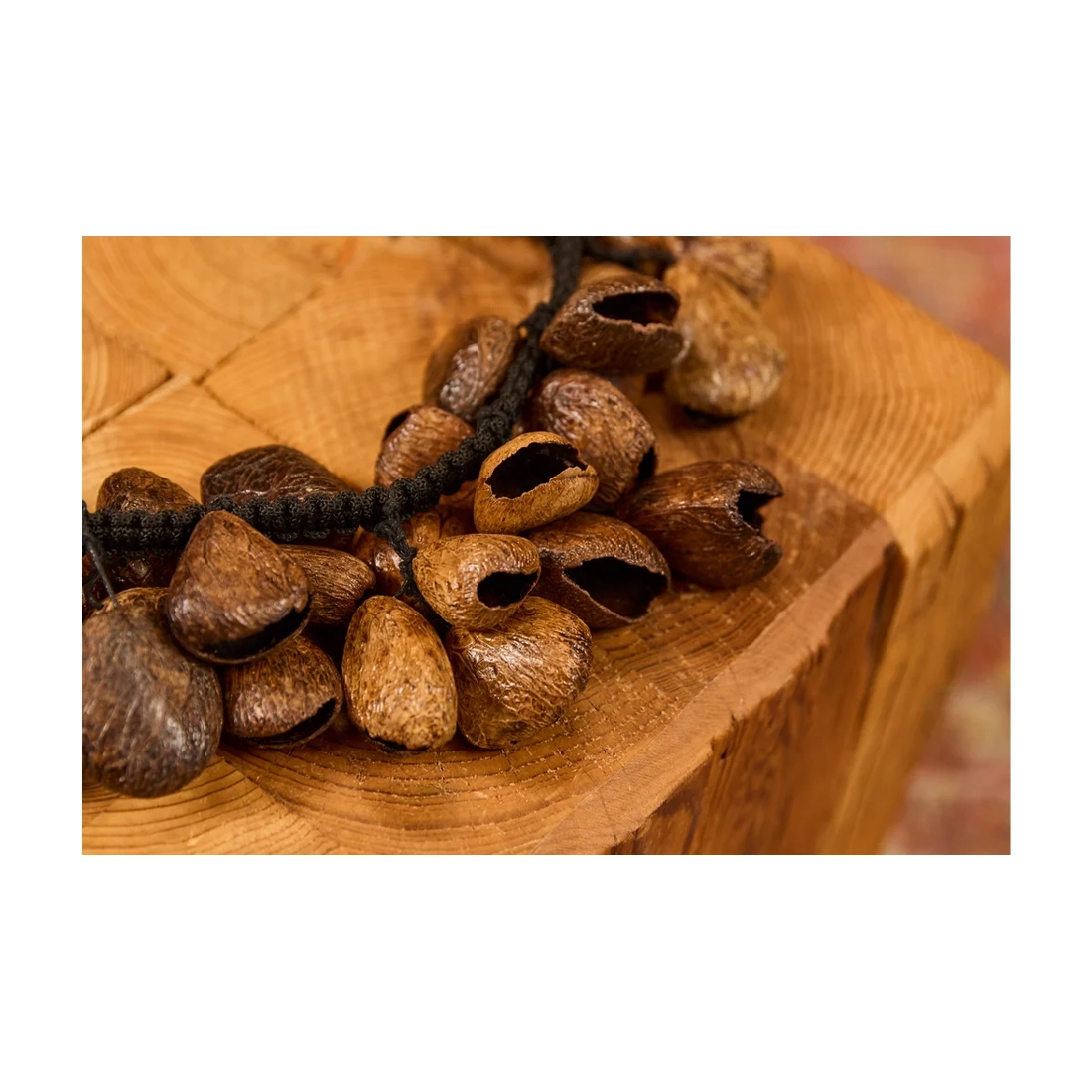Meinl Percussion WA5 Pangi Waterfall Shaker - Shaker, Lifestyle close up