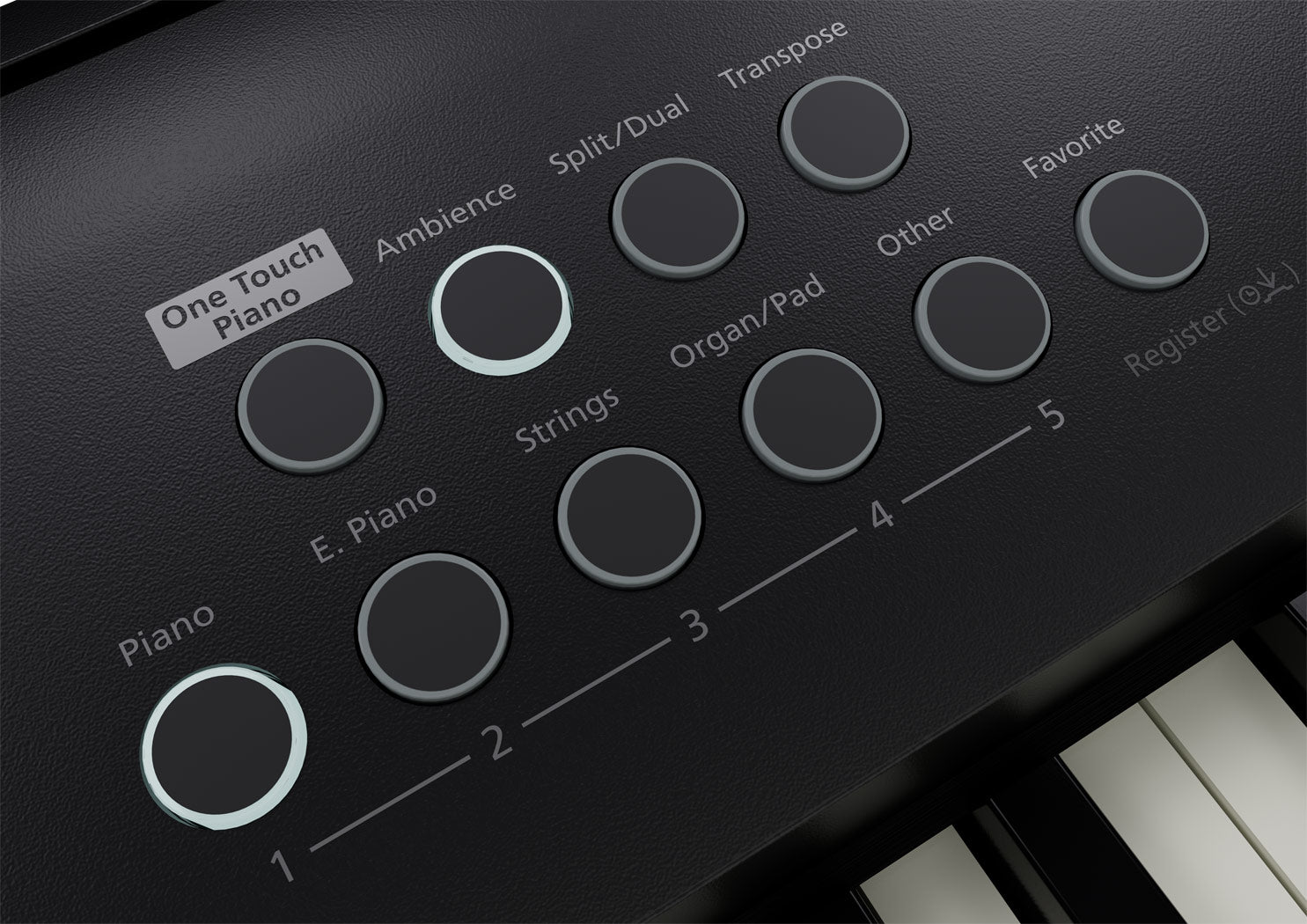 Roland Fp-E50 88-Key Digital Piano