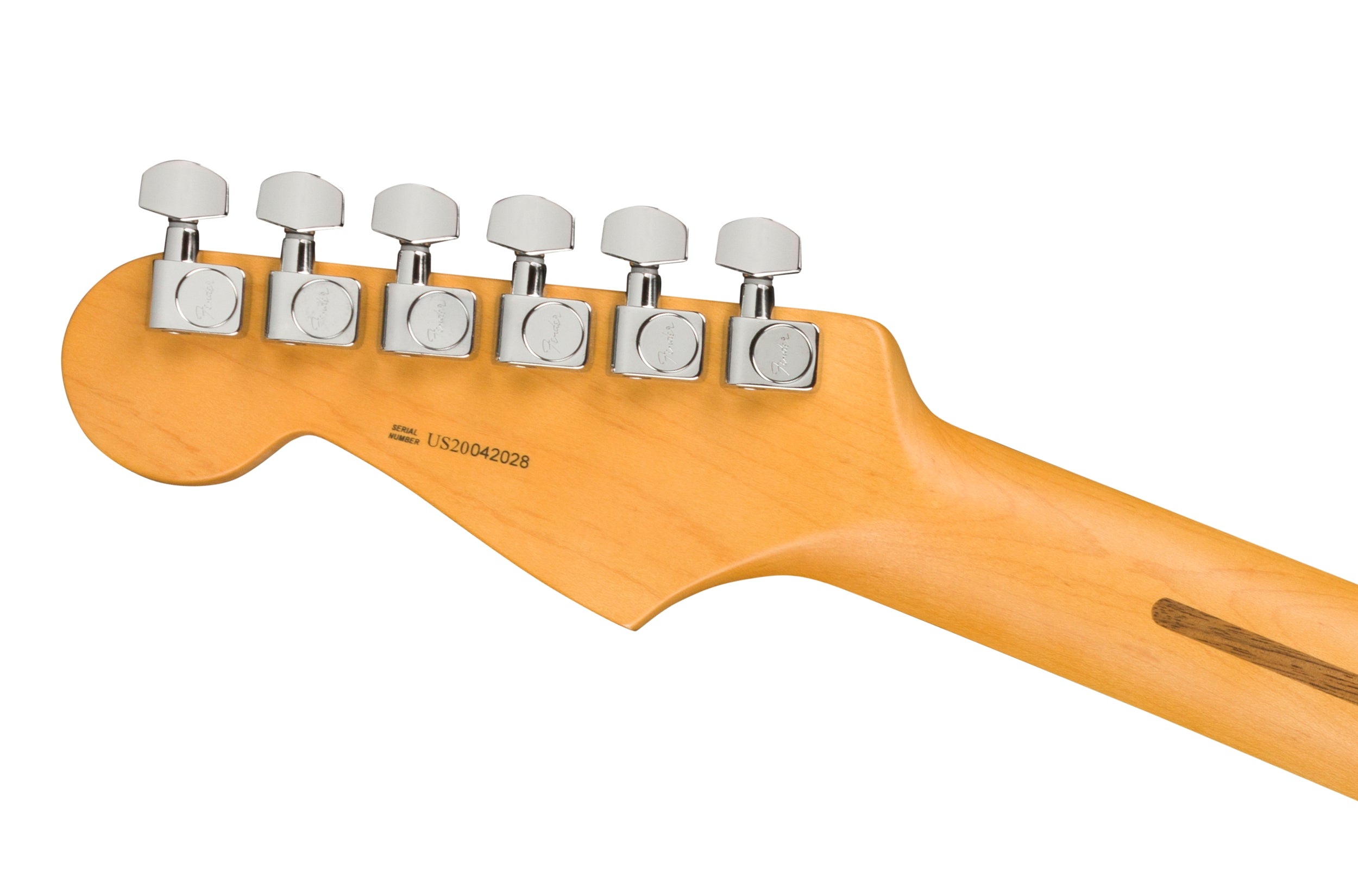 Fender American Professional II Stratocaster - Dark Night