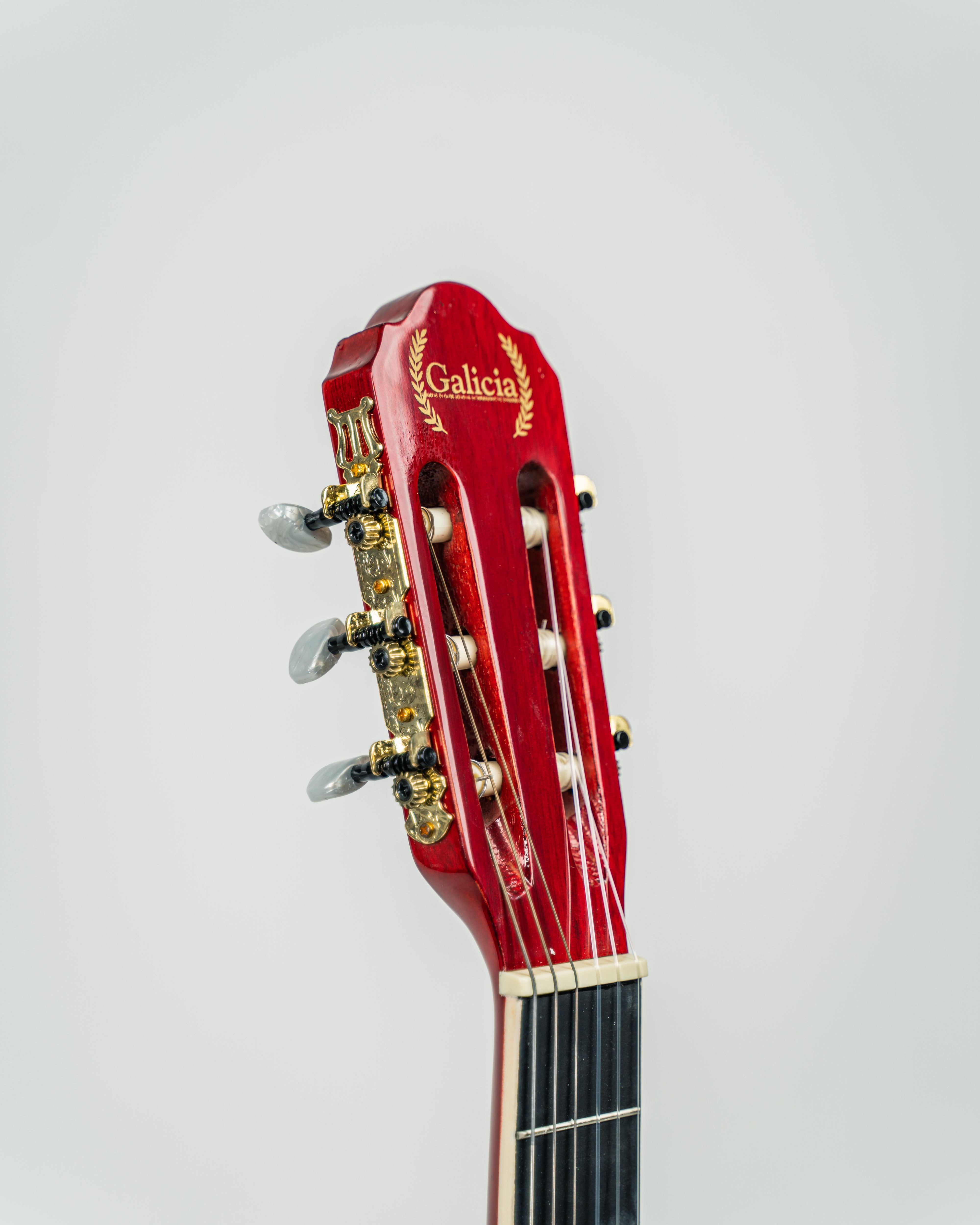 Galicia ESC-120 6 String Nylon 39" Classical Guitar