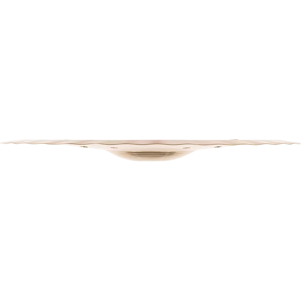 Meinl Generation X 12" Jingle Filter China Cymbal