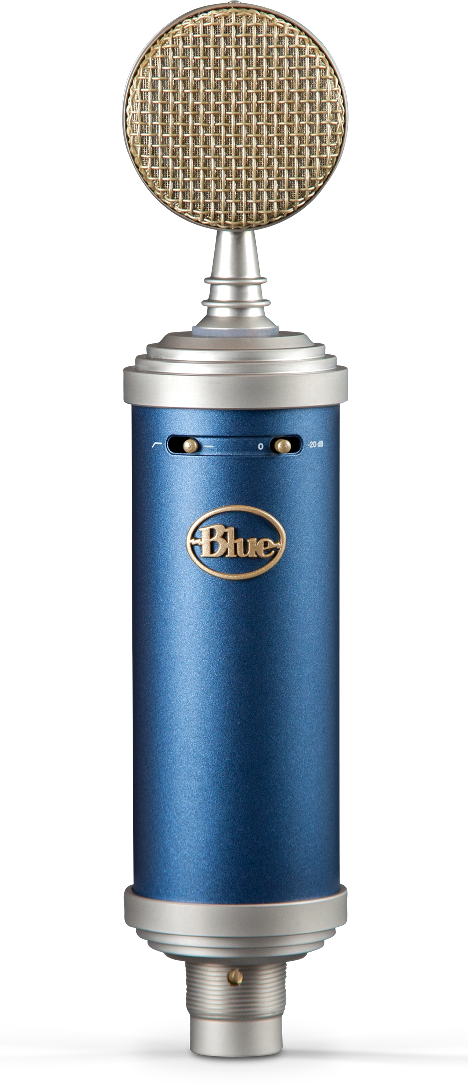 Micrófono de condensador de estudio de diafragma grande Bluebird SL