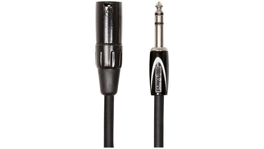 Roland Black Series 1/4" TRS-XLR(Male) Interconnect Cable 10 ft. Black