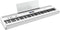 Roland FP-60X Digital Piano With Supernatural Modeling - White