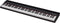 Roland GO:PIANO88 88-Note Digital Piano with Onboard Bluetooth Speakers